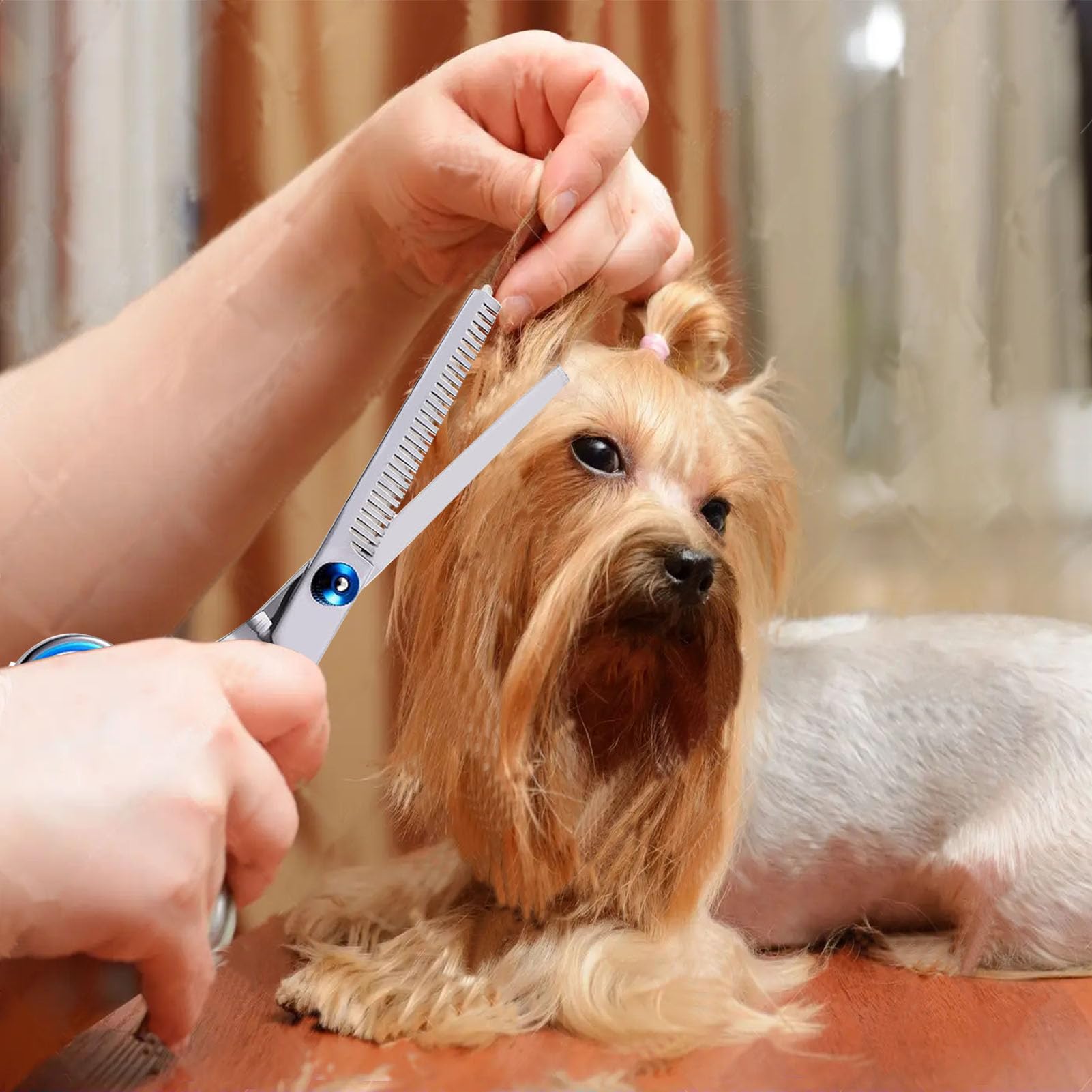 Groomers Professional -Groomers Professional 71sjCUNTTIL