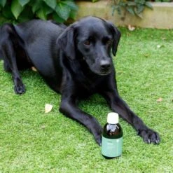 Animal Care Colloidal Gold -Groomers Professional active silver animal care colloidal gold p18026 16419 medium