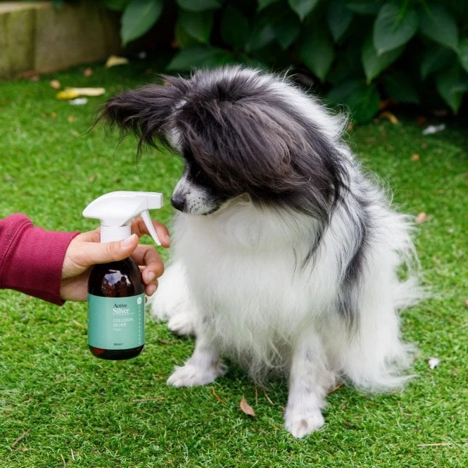 Animal Care Colloidal Silver 3 Animal Care Colloidal Silver - Image 3