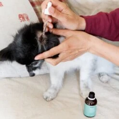 Animal Care Ear Drops 14 Animal Care Ear Drops -Groomers Professional active silver animal care ear drops p18031 16566 medium