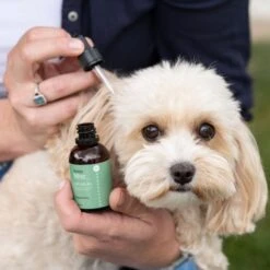 Animal Care Ear Drops 16 Animal Care Ear Drops -Groomers Professional active silver animal care ear drops p18031 16568 medium