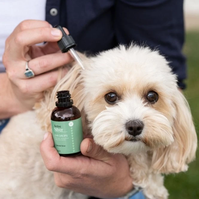 Animal Care Ear Drops 8 Animal Care Ear Drops - Image 8