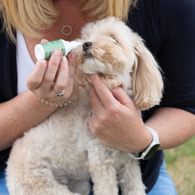 Animal Care Eye Drops 4 Animal Care Eye Drops - Image 4