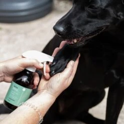 Animal Care Magic Gel Spray -Groomers Professional active silver animal care magic gel spray p18027 16448 medium