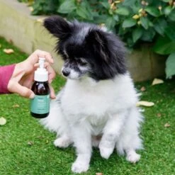 Animal Care Skin Cleanse -Groomers Professional active silver animal care skin cleanse p18029 16528 medium