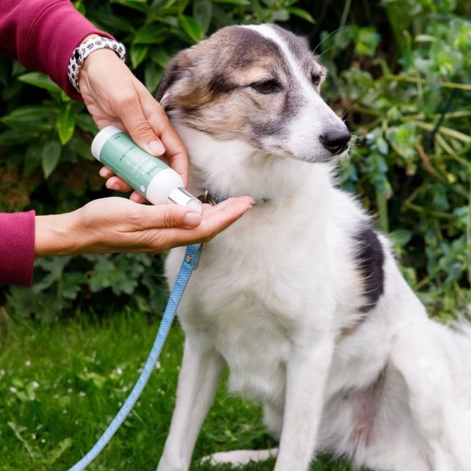 Animal Care Skin Wash 3 Animal Care Skin Wash - Image 3