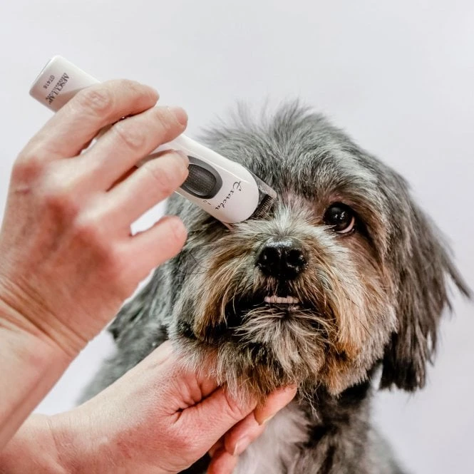 Aesculap Exacta Cordless Trimmer 5 Aesculap Exacta Cordless Trimmer - Image 5