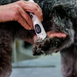 Aesculap Exacta Cordless Trimmer 12 Aesculap Exacta Cordless Trimmer -Groomers Professional aesculap exacta cordless trimmer p35 14420 medium