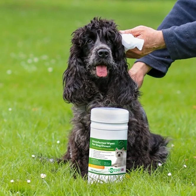 Disinfectant Wipes 2 Disinfectant Wipes - Image 2