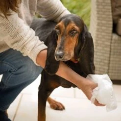 Disinfectant Wipes 9 Disinfectant Wipes -Groomers Professional aqueos disinfectant wipes p1179 14369 medium