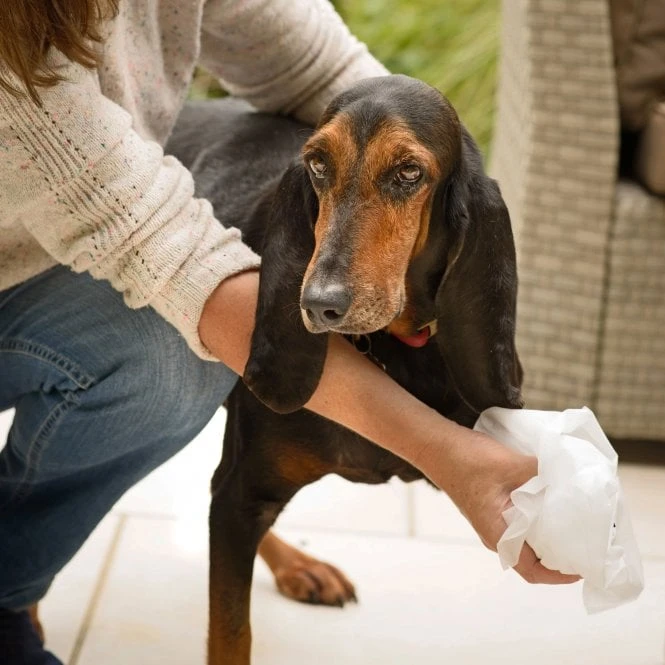 Disinfectant Wipes 5 Disinfectant Wipes - Image 5