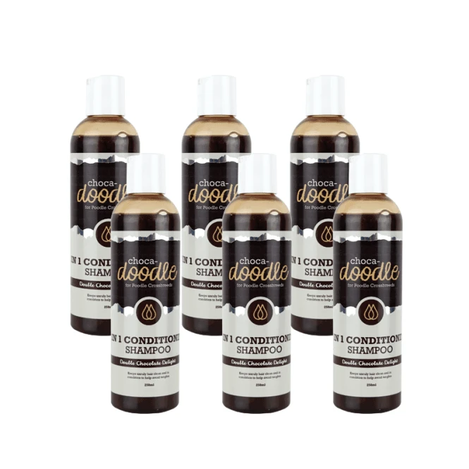 2 In 1 Conditioning Shampoo 250ml - 6 Pack 1 2 In 1 Conditioning Shampoo 250ml - 6 Pack