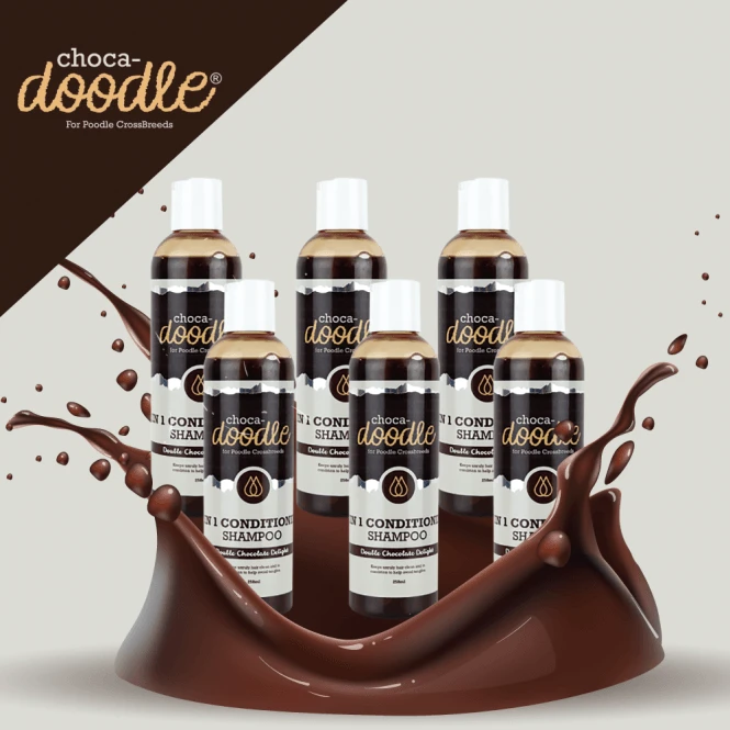 2 In 1 Conditioning Shampoo 250ml - 6 Pack 2 2 In 1 Conditioning Shampoo 250ml - 6 Pack - Image 2