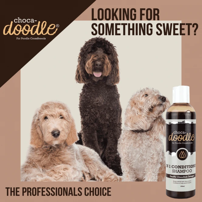 2 In 1 Conditioning Shampoo 250ml 2 2 In 1 Conditioning Shampoo 250ml - Image 2