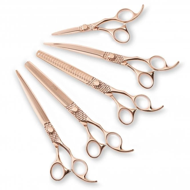 5 Piece Scissor Set 2 5 Piece Scissor Set - Image 2
