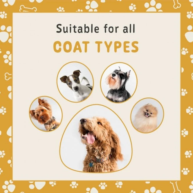 Banana & Mango Fragrance Spray 4 Banana & Mango Fragrance Spray - Image 4