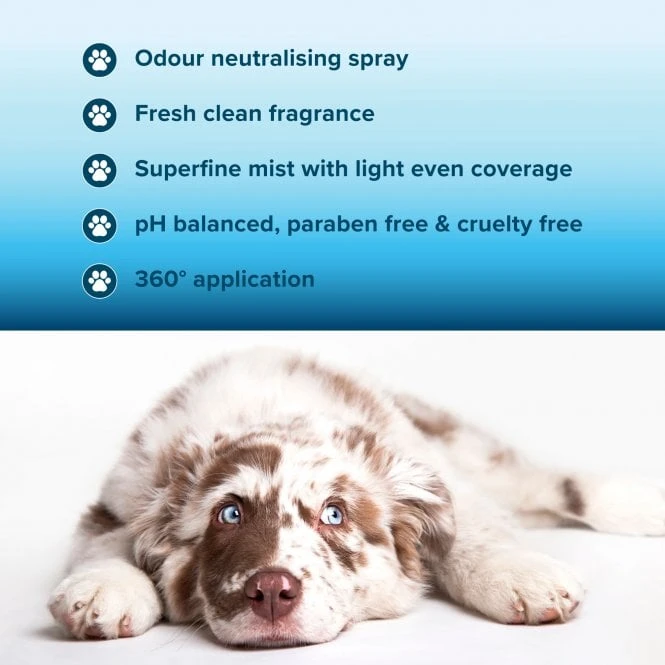 Coat Deodorising Spray 300ml 3 Coat Deodorising Spray 300ml - Image 3