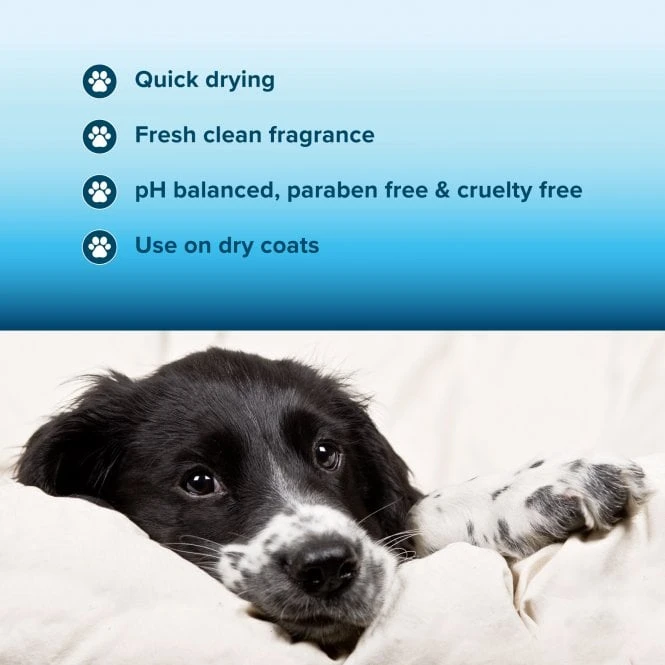 Coat Fragrance Spray 250ml 2 Coat Fragrance Spray 250ml - Image 2