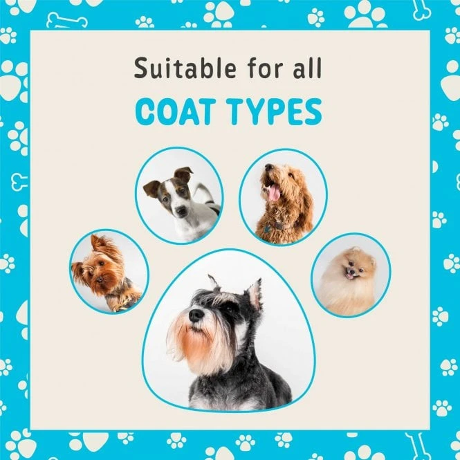 Coat Management Spray Refill 1L 2 Coat Management Spray Refill 1L - Image 2