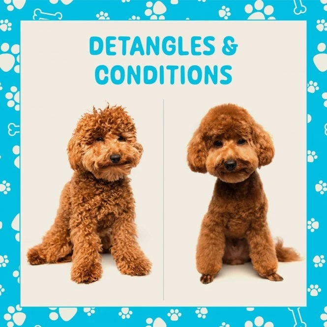 Coat Management Spray Refill 1L 3 Coat Management Spray Refill 1L - Image 3