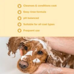 Banana & Mango Shampoo -Groomers Professional groomers everyday banana mango shampoo p17771 13637 medium