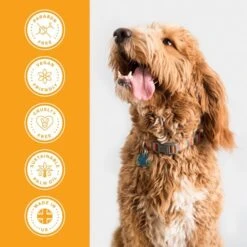 Banana & Mango Shampoo -Groomers Professional groomers everyday banana mango shampoo p17771 13638 medium