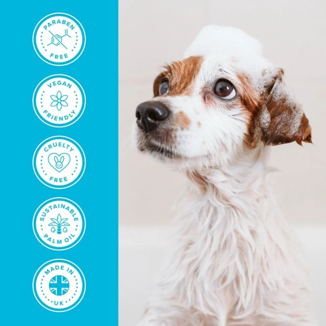 Clear Skies Shampoo 4 Clear Skies Shampoo - Image 4