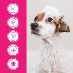 Floral Bouquet Shampoo -Groomers Professional groomers everyday floral bouquet shampoo p17774 13647 medium