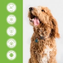 Melon Cocktail Shampoo 8 Melon Cocktail Shampoo -Groomers Professional groomers everyday melon cocktail shampoo p17772 13641 medium