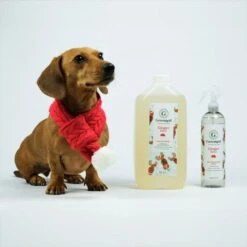 Festive Ginger Spice Fragrance Spray -Groomers Professional groomers festive ginger spice fragrance spray p17835 14571 medium