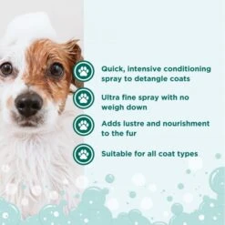 Intense Groom & Detangle Spray -Groomers Professional groomers intense groom detangle spray p17623 13247 medium