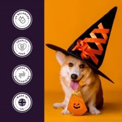 Limited Edition Hocus Pocus Shampoo 6 Limited Edition Hocus Pocus Shampoo -Groomers Professional groomers limited edition hocus pocus shampoo p17684 17123 medium