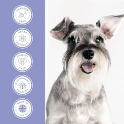 Calming Shampoo -Groomers Professional groomers performance calming shampoo p17789 13788 medium