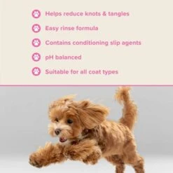 Detangle Shampoo 7 Detangle Shampoo -Groomers Professional groomers performance detangle shampoo p17785 13768 medium