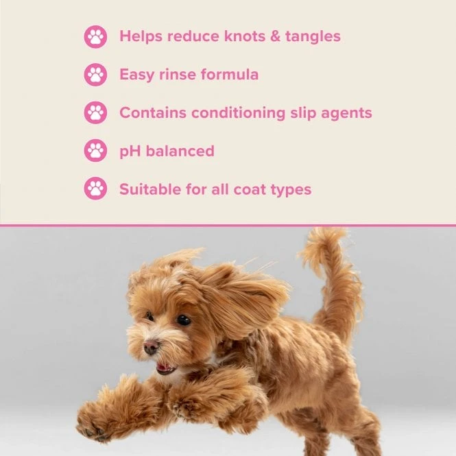 Detangle Shampoo 3 Detangle Shampoo - Image 3