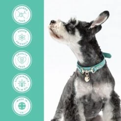 Medicated Shampoo -Groomers Professional groomers performance medicated shampoo p17788 13779 medium