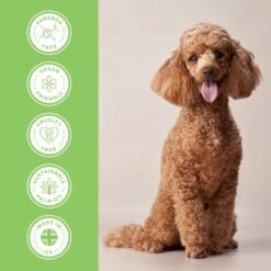 Scissoring Shampoo -Groomers Professional groomers performance scissoring shampoo p17787 13785 medium