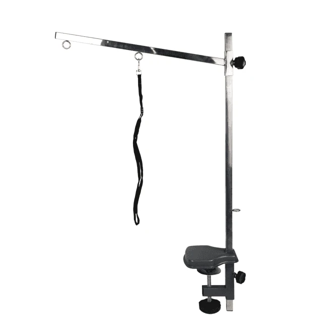 Short Arm 1 Short Arm