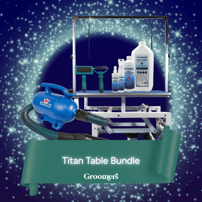 Titan Extreme Electric Table - Blue Bundle 1 Titan Extreme Electric Table - Blue Bundle