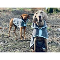 Drying Coat -Groomers Professional henry wag drying coat p15568 9896 medium