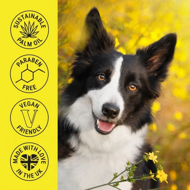 Shampoo 250ml - Daisy 2 Shampoo 250ml - Daisy - Image 2