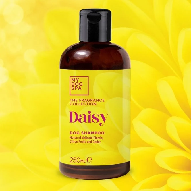 Shampoo 250ml - Daisy 4 Shampoo 250ml - Daisy - Image 4