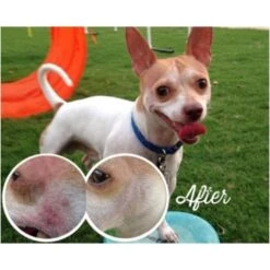 Skin Soother 5 Skin Soother -Groomers Professional natural dog company skin soother p2674 3771 medium