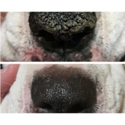 Snout Soother 4.5ml (Trial Size) 9 Snout Soother 4.5ml (Trial Size) -Groomers Professional natural dog company snout soother 45ml trial size p2668 3768 medium