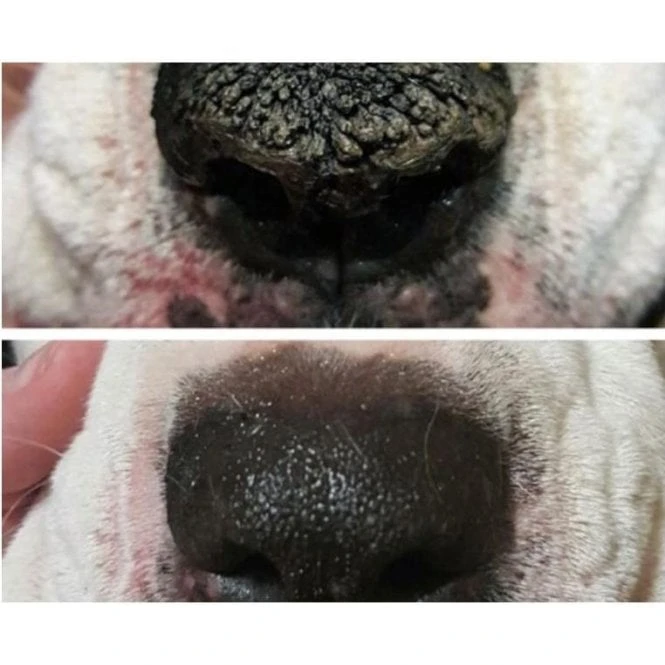 Snout Soother 4.5ml (Trial Size) 5 Snout Soother 4.5ml (Trial Size) - Image 5