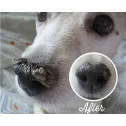 Snout Soother 4.5ml (Trial Size) 8 Snout Soother 4.5ml (Trial Size) -Groomers Professional natural dog company snout soother 45ml trial size p2668 3781 medium