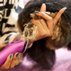 Wahl Arco Rechargeable Cordless Clipper - Purple 9 Wahl Arco Rechargeable Cordless Clipper - Purple -Groomers Professional wahl arco rechargeable cordless clipper purple p18170 18151 medium