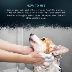 Wahl Deep Black Shampoo 500ml 10 Wahl Deep Black Shampoo 500ml -Groomers Professional wahl deep black shampoo 500ml p17572 13515 medium