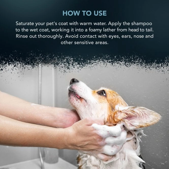 Wahl Deep Black Shampoo 500ml 4 Wahl Deep Black Shampoo 500ml - Image 4