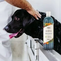 Wahl Deep Black Shampoo 500ml 12 Wahl Deep Black Shampoo 500ml -Groomers Professional wahl deep black shampoo 500ml p17572 13517 medium